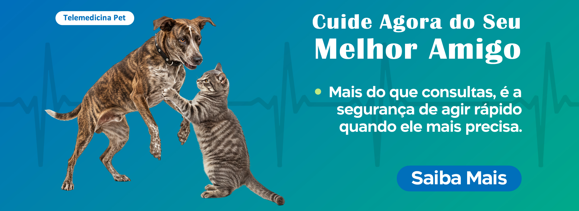 SAIBA MAIS