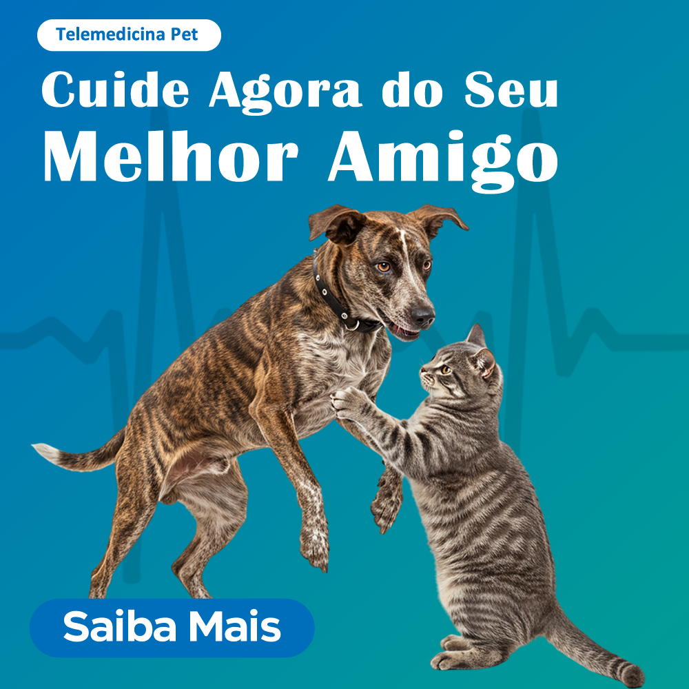 SAIBA MAIS